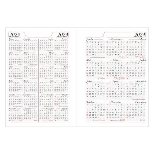 Agenda Diária 2025 Personalizada