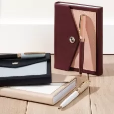 Caneta Esferográfica para Brindes com Logo